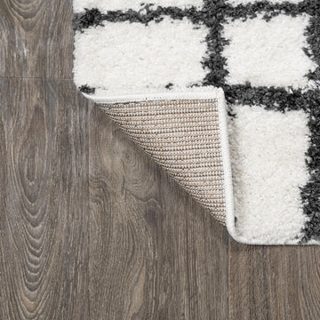 Arenal Geometric Grid Shag Area Rug